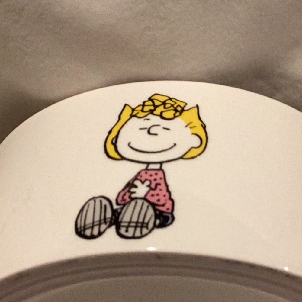 Peanuts Pet Bowl - Picture 4 of 9